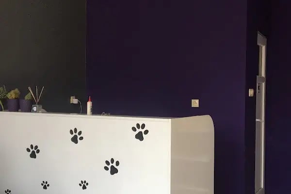 Markasi Veteriner Kliniği - Resim 18