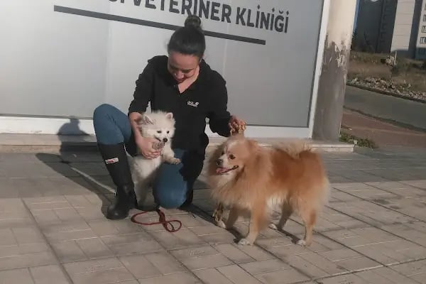 Markasi Veteriner Kliniği - Resim 9