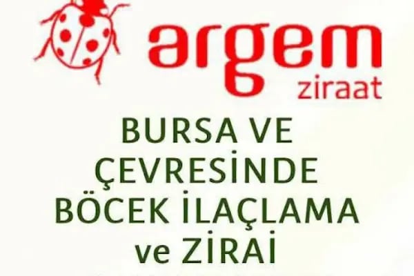 ARGEM İLAÇLAMA - Resim 6
