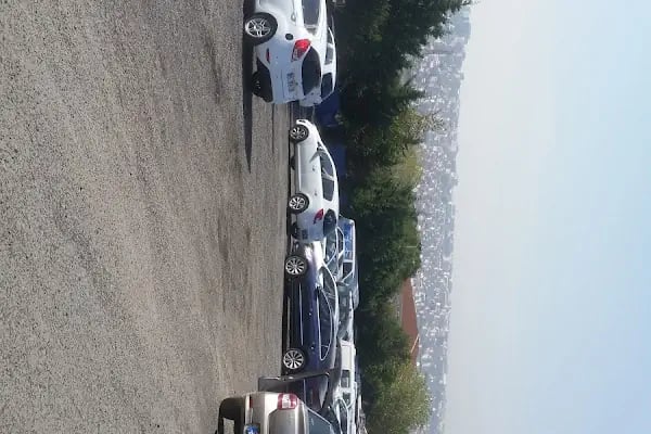 Öz Anadolu Avcılar Yediemin otopark - Resim 10