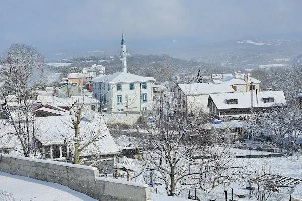 ÇINARDERE HACI KEMAL CAMİ - Resim 11