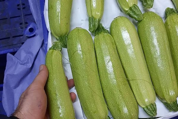 Sahilkent Toptancı Hali - Resim 12