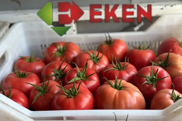 Sahilkent Toptancı Hali - Resim 16