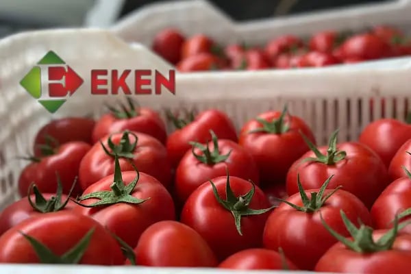 Sahilkent Toptancı Hali - Resim 19
