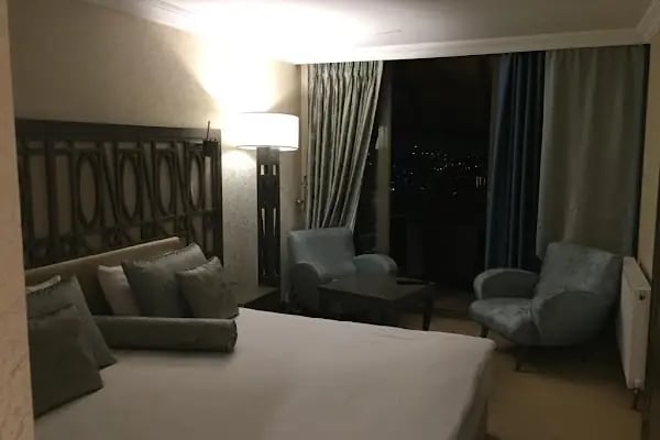 Cadence Design Hotel - Resim 16