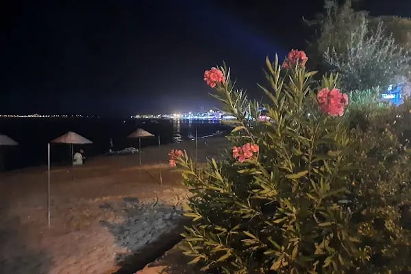 Avşa Plaj - Resim 4
