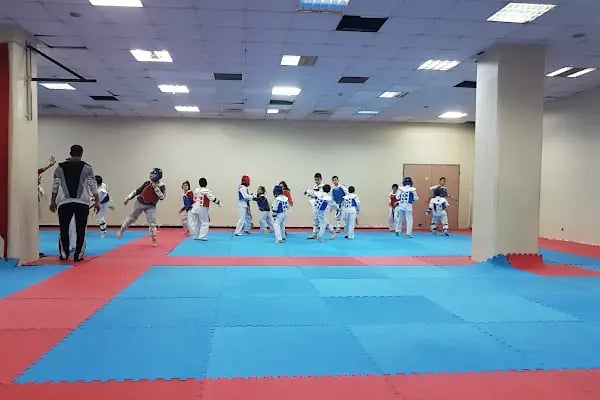 BAĞCILAR GENÇLİK VE SPOR İLÇE MÜDÜRLÜĞÜ OLİMPİK SPOR SALONU - Resim 10