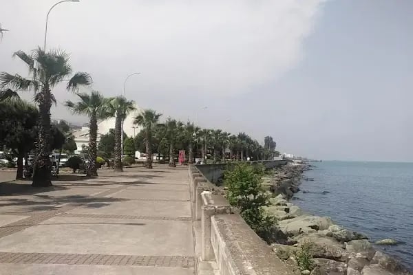 Akçaabat Otobüs Terminali - Resim 13