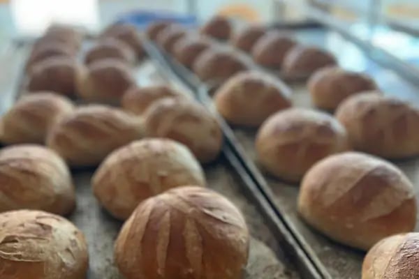 Biz iş unlu mamülleri - Resim 18