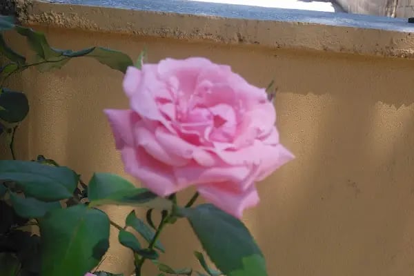 Şahinbey Belediyesi Akpınar 1 Nolu Parkı - Resim 2