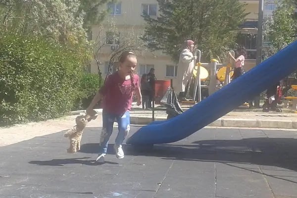 Ordu Caddesi Parkı - Resim 4