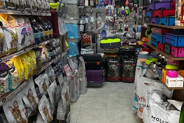 Golden Pet Shop - Resim 3