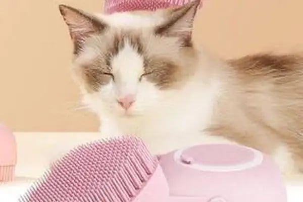 Golden Pet Shop - Resim 5