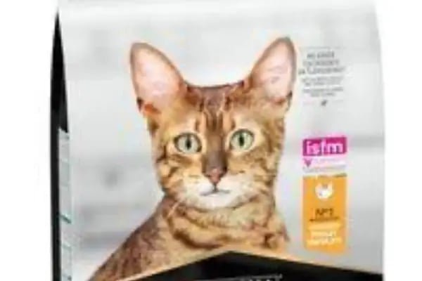Golden Pet Shop - Resim 16