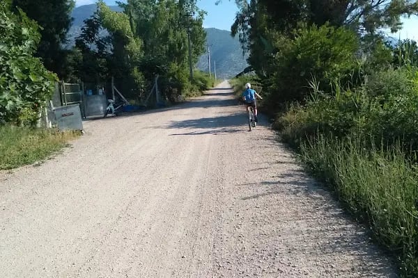 Finike Meysan - Resim 20
