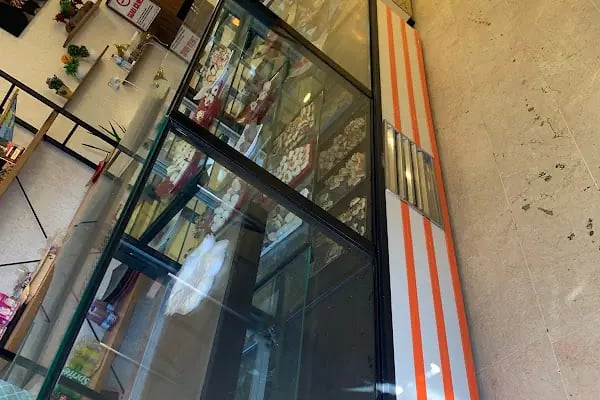 xgardenkafe - Resim 16