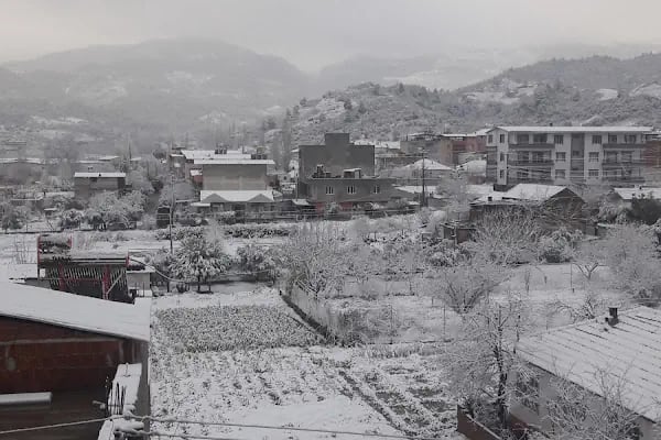 Gözlemeci Büfe - Resim 7
