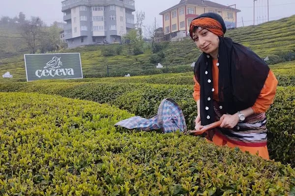 Huzur Kahvesi - Resim 10