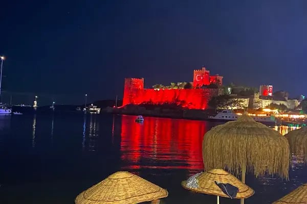 Bodrum elektrik jeneratör satış ariza servisi - Resim 17