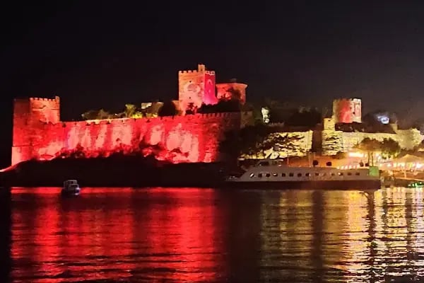 Bodrum elektrik jeneratör satış ariza servisi - Resim 19