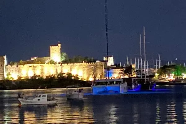 Bodrum elektrik jeneratör satış ariza servisi - Resim 8