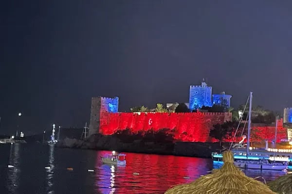 Bodrum elektrik jeneratör satış ariza servisi - Resim 2