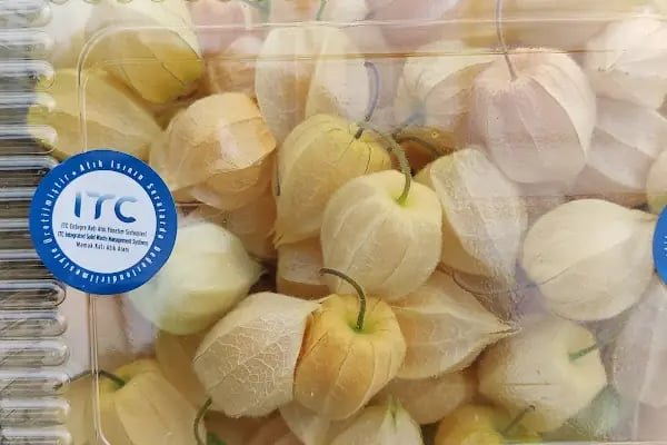 Itc Katı Atık Yönetimi - Resim 6