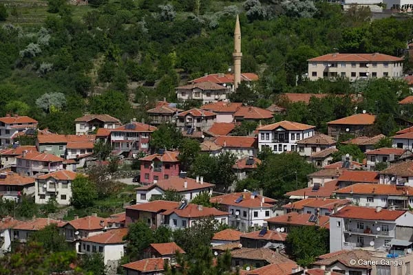 Kesikbaş Abdullah Sultan Cami - Resim 7