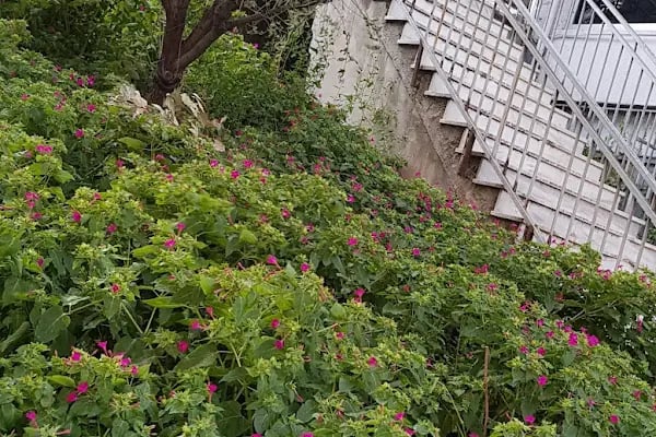 Avcılar Belediye Parkı - Resim 12
