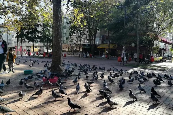 Avcılar Belediye Parkı - Resim 6