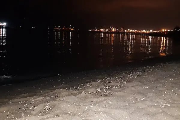 Avcılar Belediye Parkı - Resim 16