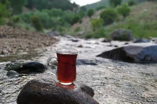 İnözü Vadisi - Resim 15