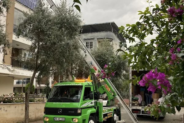 Nokta Asansörlü Taşımacılık - Resim 3