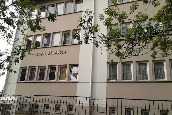 Abdullah Fazıl Ağanoğlu İlkokulu - Resim 5