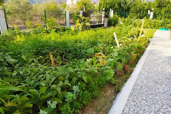 Kaya House Günlük Daire - Resim 5