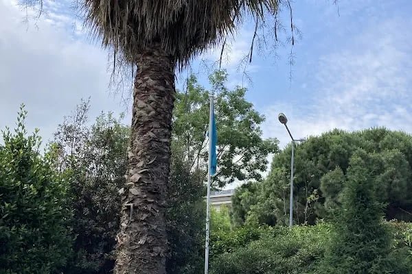 Kazakistan Cumhuriyeti Başkonsolosluğu - Resim 7