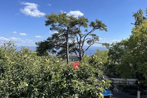 Manzara Restaurant Avcılar - Resim 17