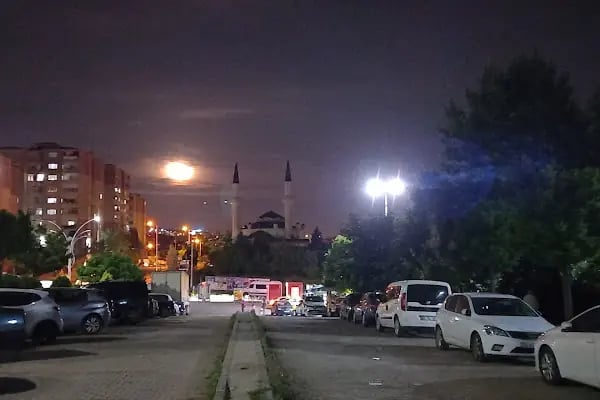Hacı Perihan Kayar Camii - Resim 18