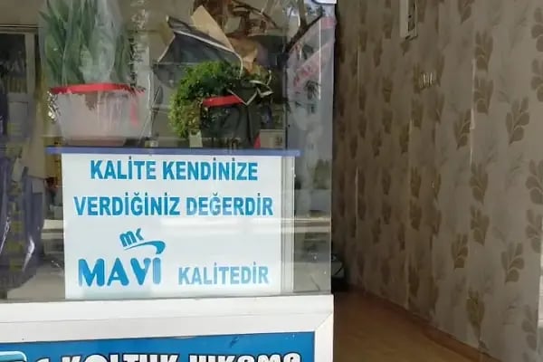 Mavi kuru temizleme terzi - Resim 16