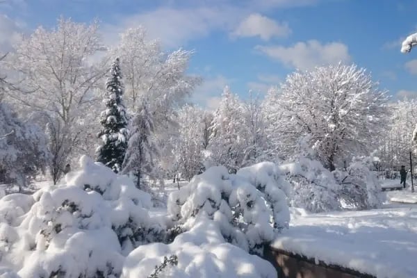 Meclis Parkı - Resim 8