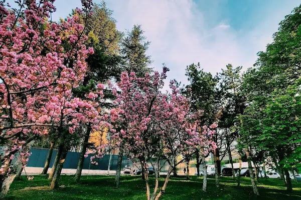 Meclis Parkı - Resim 10