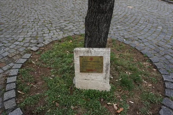 Meclis Parkı - Resim 7