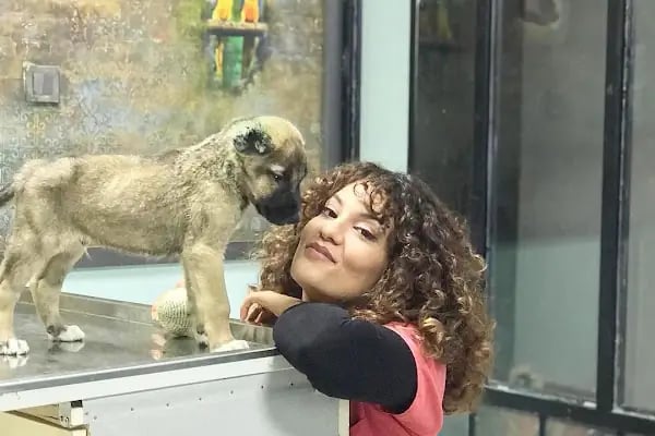 Yağmur Veteriner Kliniği - Resim 7