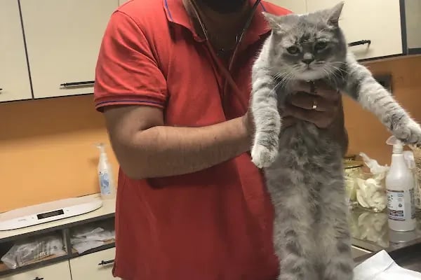Yağmur Veteriner Kliniği - Resim 16