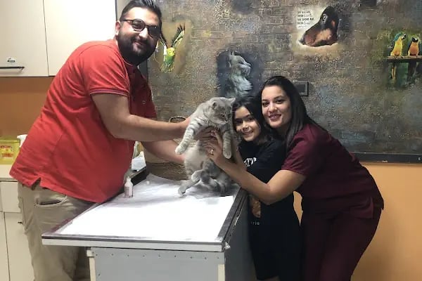 Yağmur Veteriner Kliniği - Resim 15