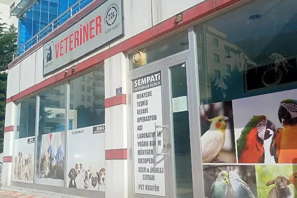 Sempati Veteriner Muayenehanesi - Resim 17