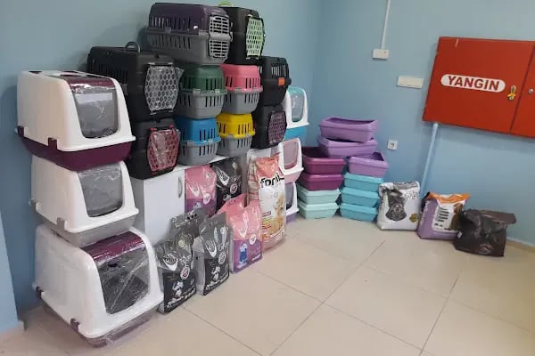 Sempati Veteriner Muayenehanesi - Resim 19