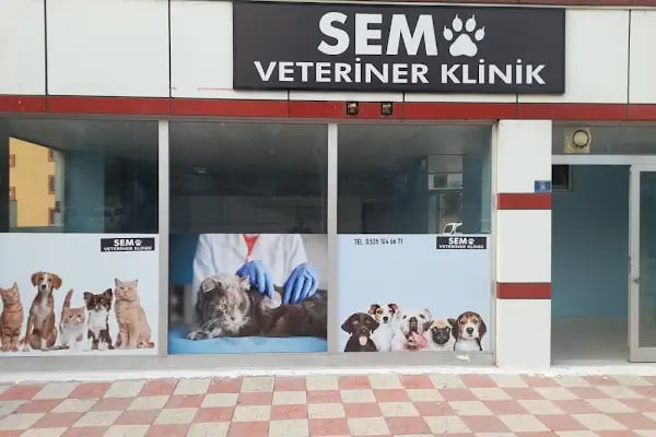 Sempati Veteriner Muayenehanesi - Resim 2