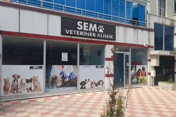 Sempati Veteriner Muayenehanesi - Resim 18
