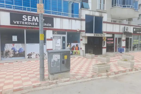 Sempati Veteriner Muayenehanesi - Resim 15